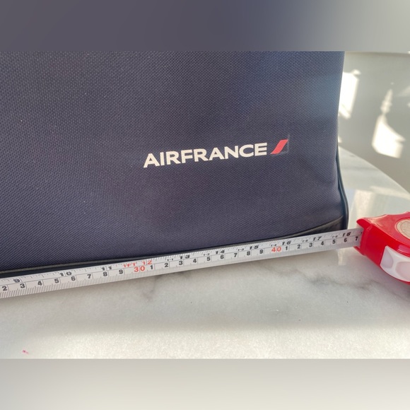 International Flight Approved Pet Carrier. Roomy. Will fit a pug or frenchie. - Picture 5 of 10